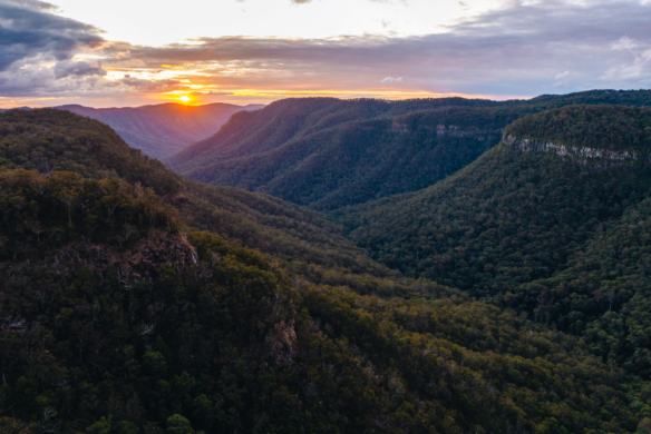 About - Scenic Rim