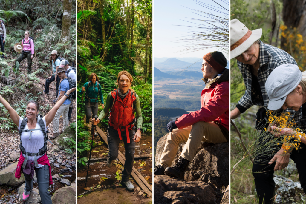 Scenic Rim Slashing The Scenic Rim Trail, Season by Season - Scenic Rim
